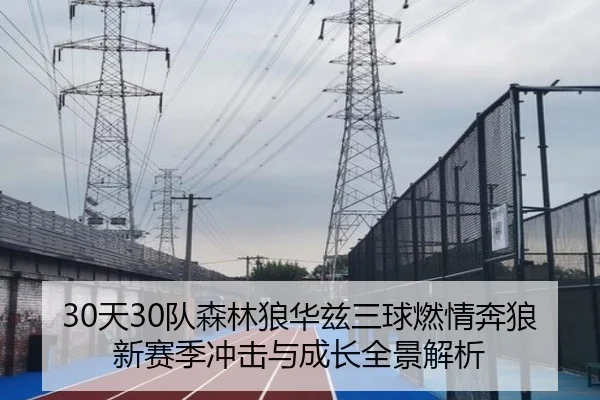 30天30队森林狼华兹三球燃情奔狼新赛季冲击与成长全景解析